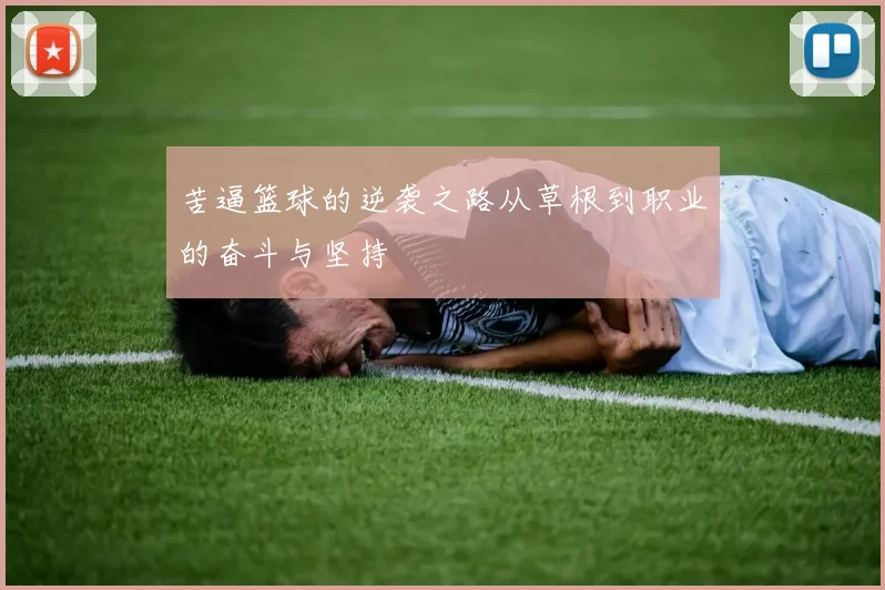 苦逼篮球的逆袭之路从草根到职业的奋斗与坚持