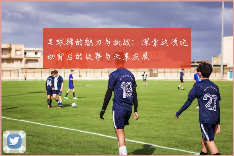 足球稀的魅力与挑战：探索这项运动背后的故事与未来发展