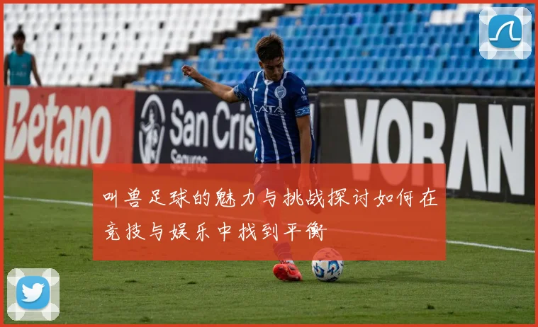 叫兽足球的魅力与挑战探讨如何在竞技与娱乐中找到平衡